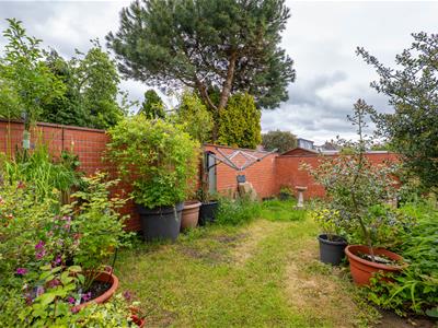 Picture 23